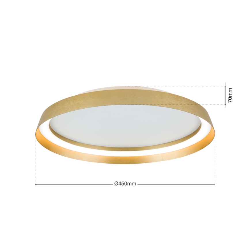 Iluminação de teto LED com regulação MANTA LED/38W/230V 2700/3000/4000K diâmetro 45 cm dourado
