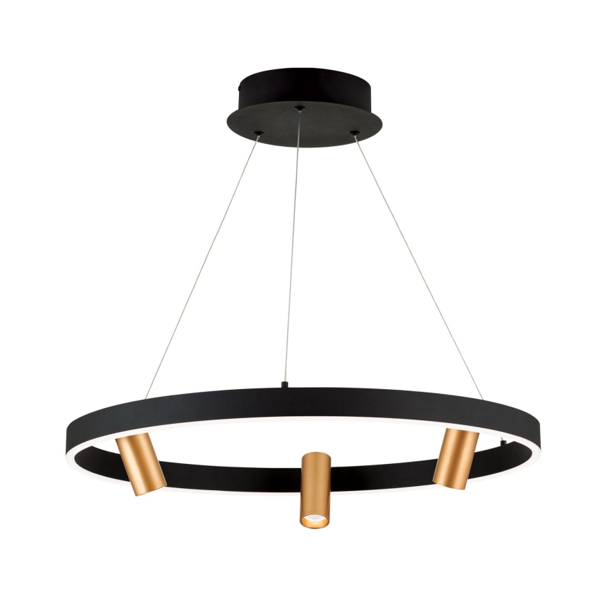 Candeeiro suspenso LED com regulação BERLIN LED/50W/230V preto/dourado