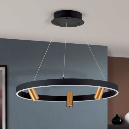 Candeeiro suspenso LED com regulação BERLIN LED/50W/230V preto/dourado