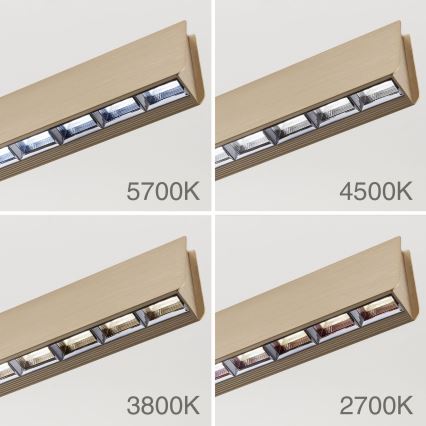 Candeeiro suspenso LED com regulação TARA LED/44W/230V 2700/3800/4500/5700K dourado