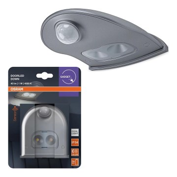 Osram - Candeeiro de parede LED para exterior com sensor DOORLED LED/0,5W/3xAA IP54 prateado