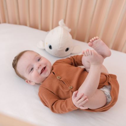 PABOBO - Brinquedo de peluche que brilha e com melodia BELUGA 3xAAA baleia