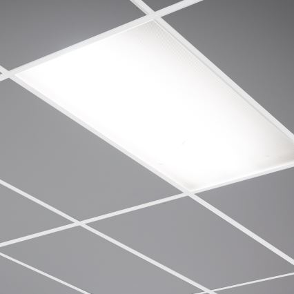 Painel LED LED/24W/230V 4000K