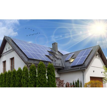 Painel solar fotovoltaico RISEN 450Wp IP68 - palete 31 pcs