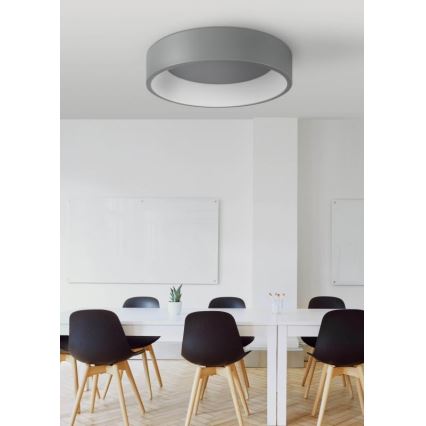 Luz de teto LED KAJI LED/20W/230V