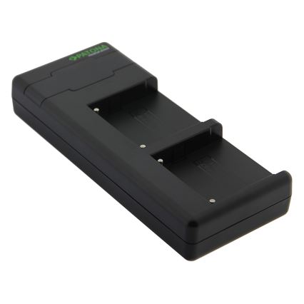 PATONA - Carregador rápido Dual Sony F550/F750/F970/FM50 + cabo USB-C 0,6m