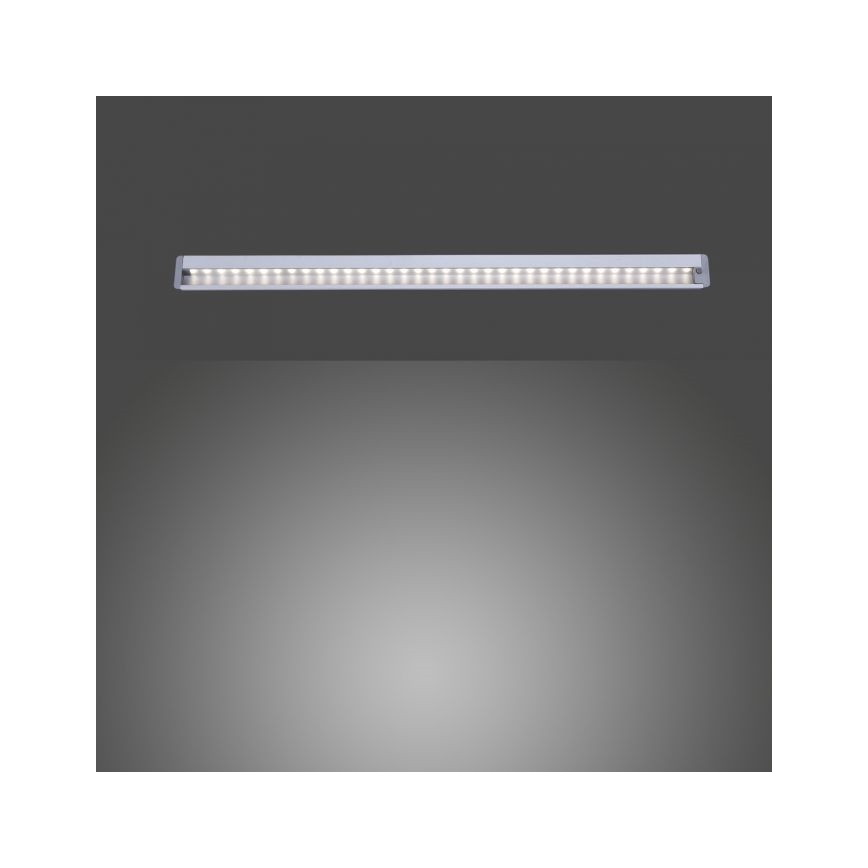 Paul Neuhaus 1122-95 - Iluminação de armário de cozinha LED HELENA LED/6W/230V
