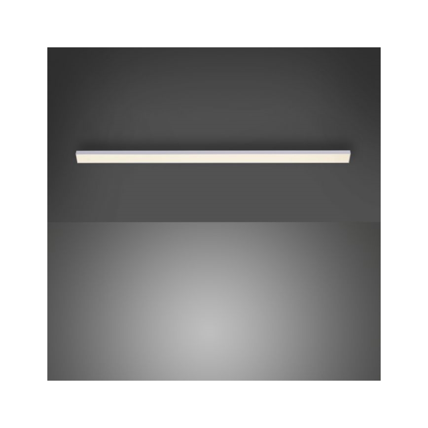 Paul Neuhaus 1125-21-A - Extensão LED para iluminação de armários de cozinha AMON LED/6W/12/230V