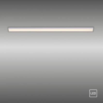 Paul Neuhaus 1125-21-A - Extensão LED para iluminação de armários de cozinha AMON LED/6W/12/230V