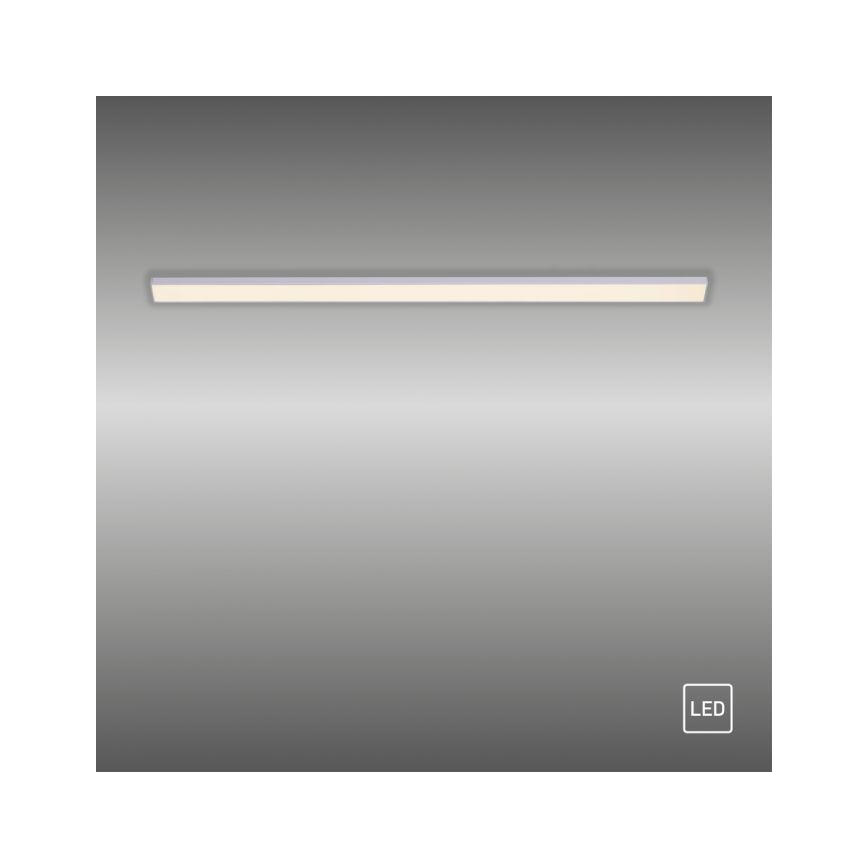 Paul Neuhaus 1125-21-A - Extensão LED para iluminação de armários de cozinha AMON LED/6W/12/230V