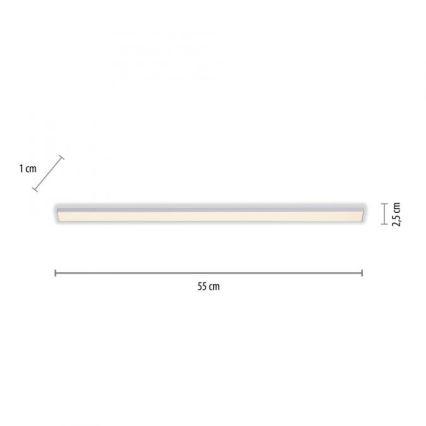 Paul Neuhaus 1125-21-A - Luminária LED de extensão para trilho AMON LED/6W/12/230V