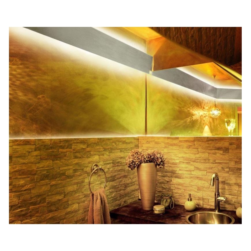 Paul Neuhaus 1205-70 - Tira LED RGB com regulação TEANIA 10m LED/30W/12/230V + controlo remoto