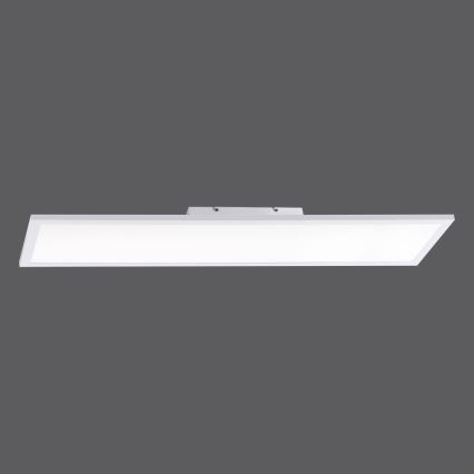 Paul Neuhaus 16533-16-O - Painel montado à superfície LED com regulação FLAT LED/24W/230V + controlo remoto