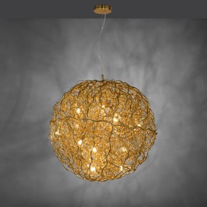 Paul Neuhaus 2019-12 - Lustre suspenso por cabo SAREA 15xG9/40W/230V dourado