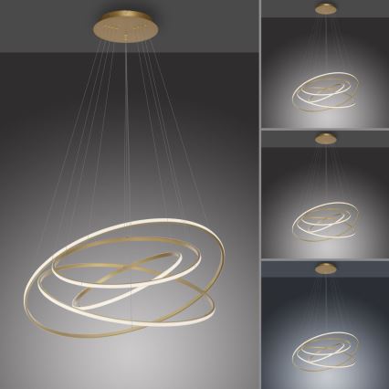 Paul Neuhaus 2124-60 - Candeeiro suspenso LED com regulação TESSARA LED/97W/230V 2700-5000K + comando