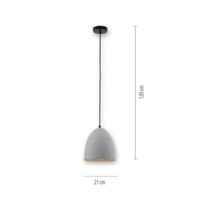 Paul Neuhaus 2231-22 - Candeeiro suspenso ETON 1xE27/40W/230V betão