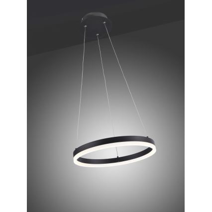Paul Neuhaus 2381-13 - Candelabro suspenso LED com regulação TITUS LED/28W/230V