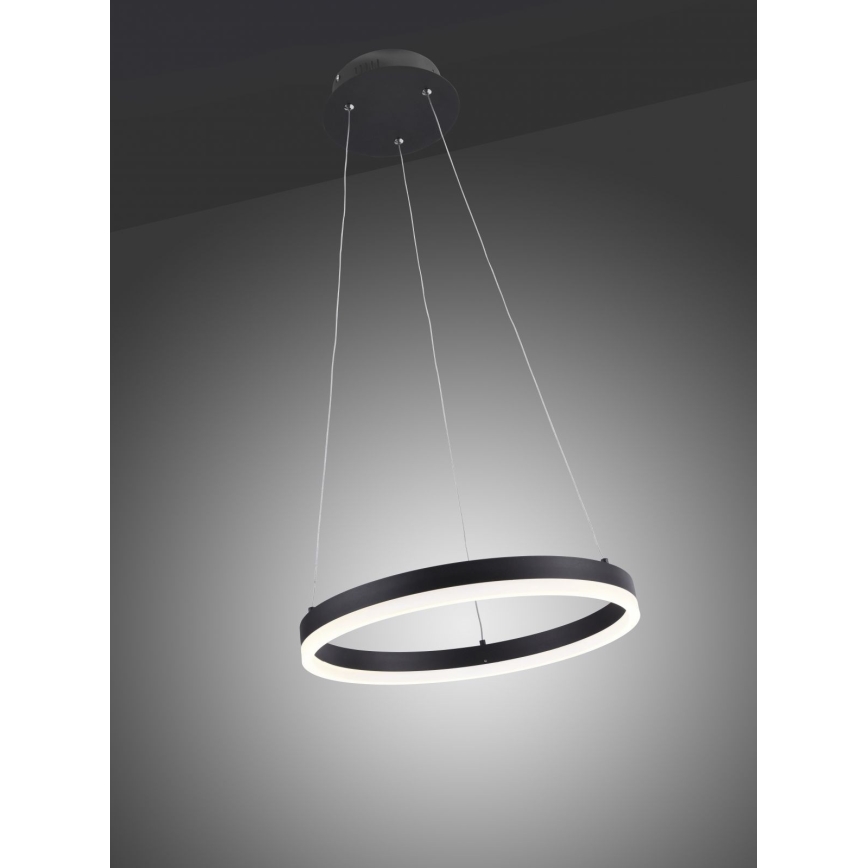 Paul Neuhaus 2381-13 - Candelabro suspenso LED com regulação TITUS LED/28W/230V