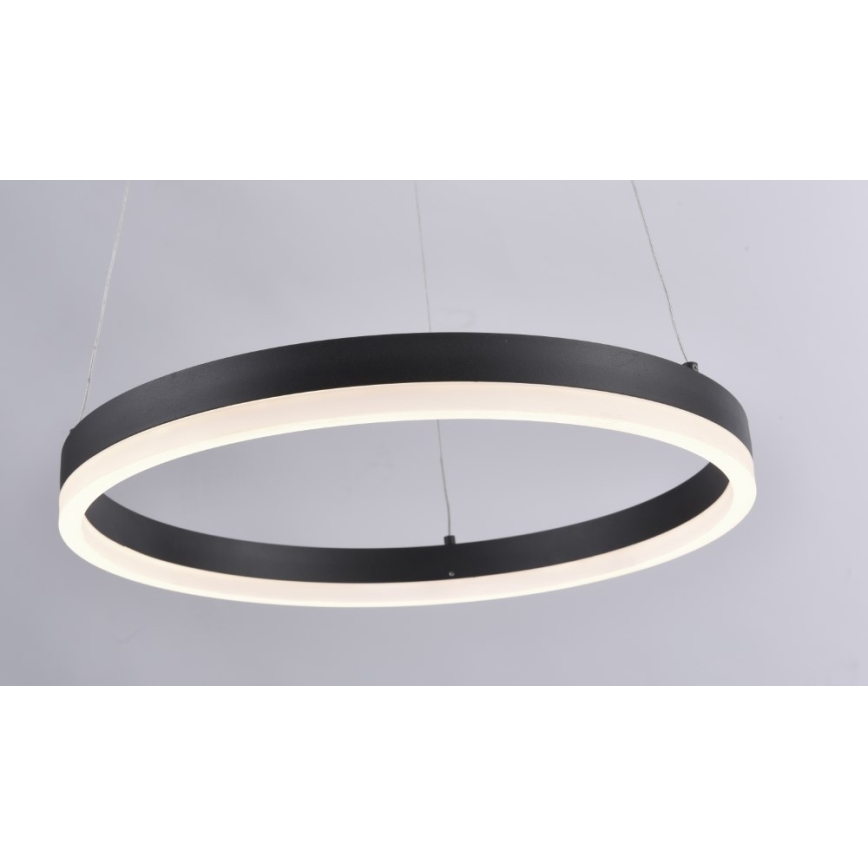 Paul Neuhaus 2381-13 - Candelabro suspenso LED com regulação TITUS LED/28W/230V