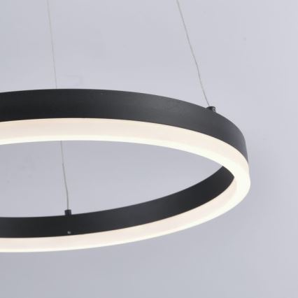 Paul Neuhaus 2381-13 - Candelabro suspenso LED com regulação TITUS LED/28W/230V