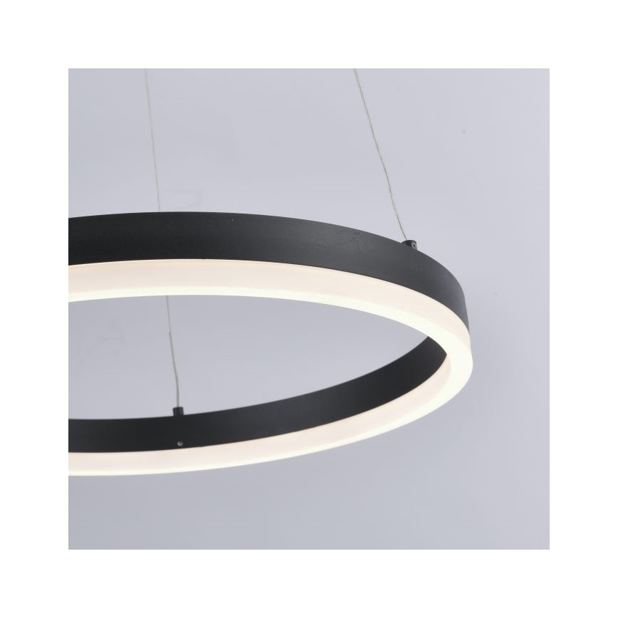 Paul Neuhaus 2381-13 - Candelabro suspenso LED com regulação TITUS LED/28W/230V