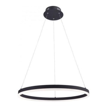 Paul Neuhaus 2382-13 - Candelabro suspenso LED com regulação TITUS LED/38,5W/230V