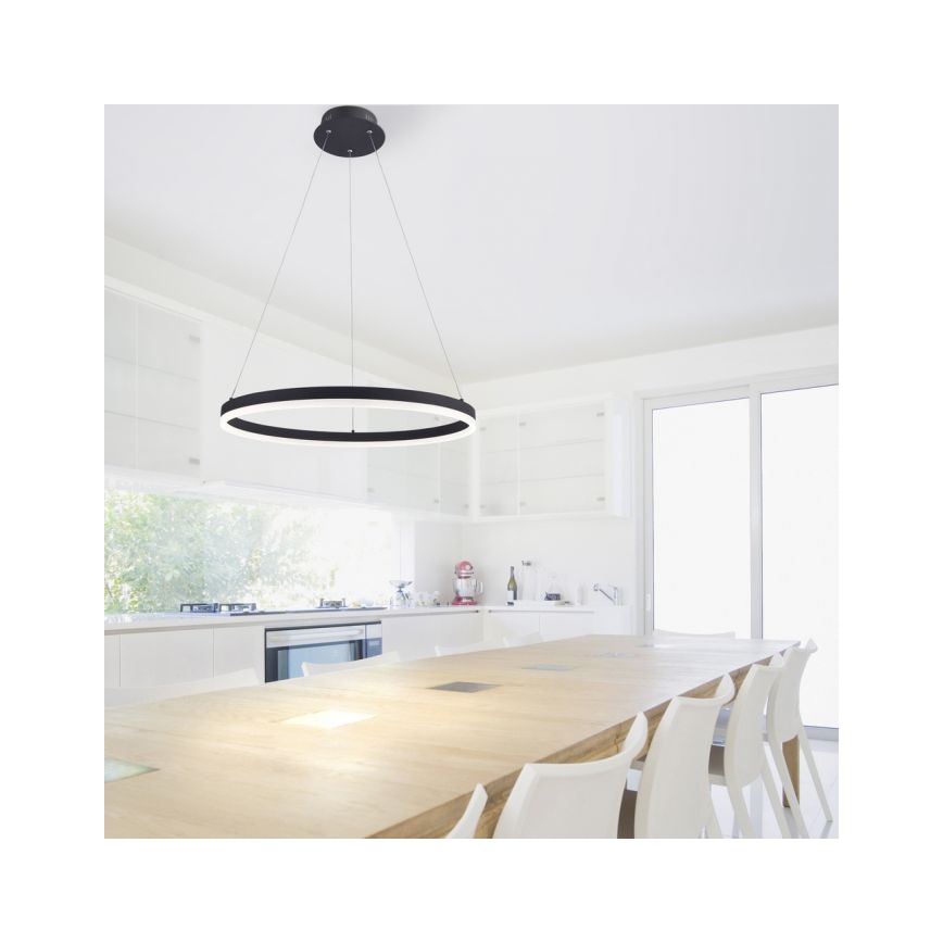 Paul Neuhaus 2382-13 - Candelabro suspenso LED com regulação TITUS LED/38,5W/230V