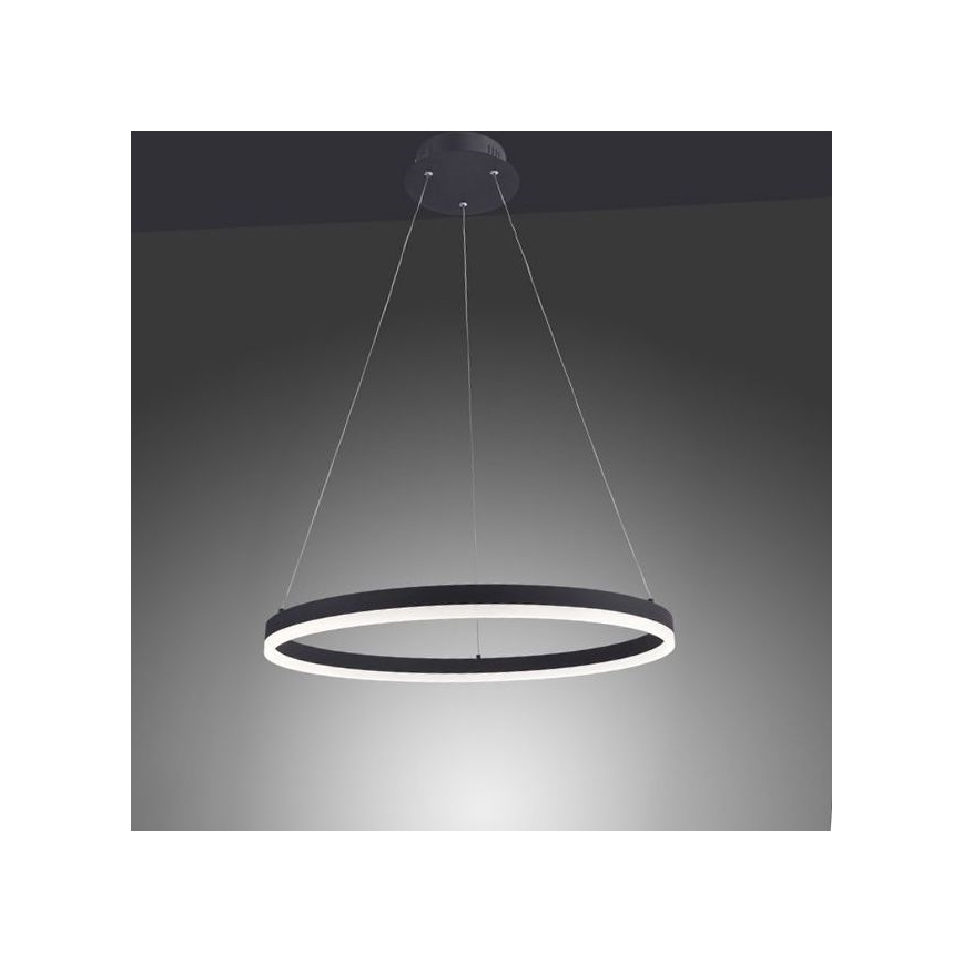 Paul Neuhaus 2382-13 - Candelabro suspenso LED com regulação TITUS LED/38,5W/230V