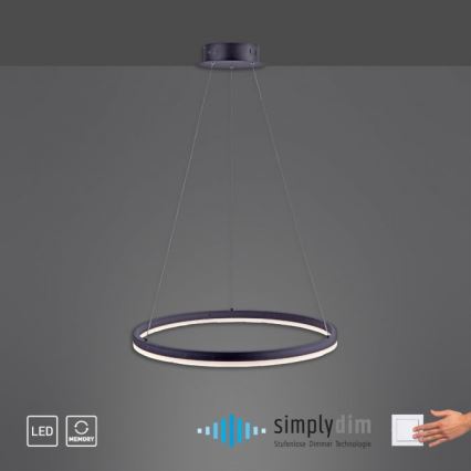 Paul Neuhaus 2382-13 - Candelabro suspenso LED com regulação TITUS LED/38,5W/230V