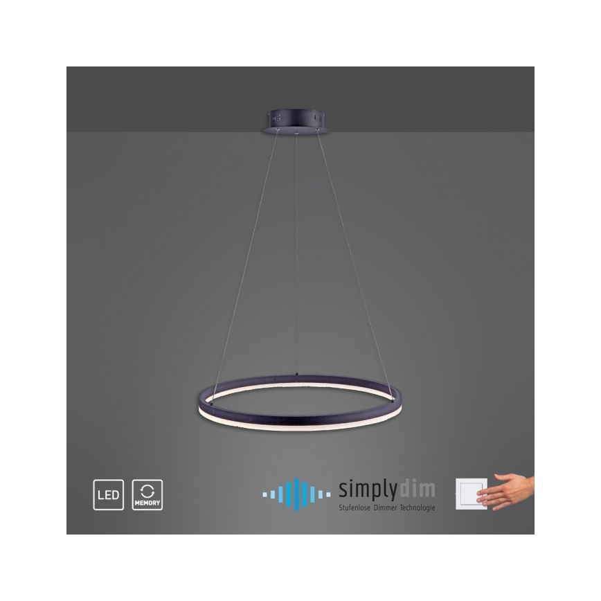 Paul Neuhaus 2382-13 - Candelabro suspenso LED com regulação TITUS LED/38,5W/230V