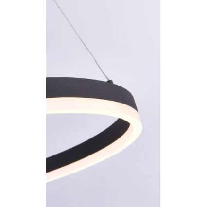Paul Neuhaus 2382-13 - Candelabro suspenso LED com regulação TITUS LED/38,5W/230V