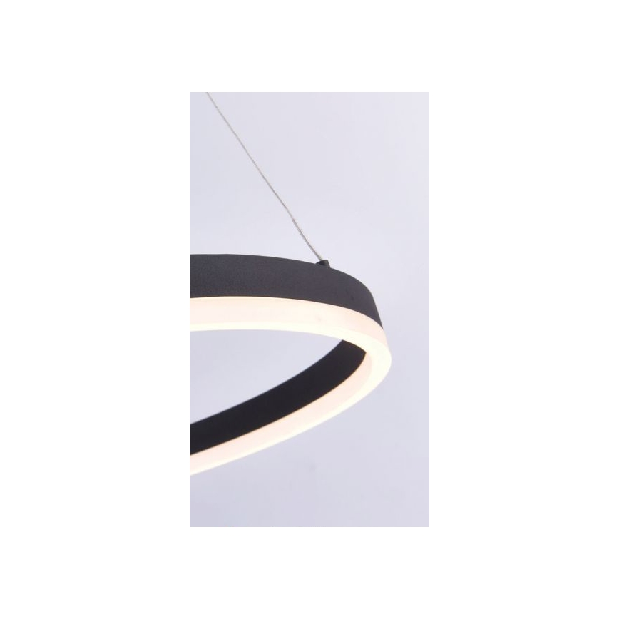 Paul Neuhaus 2382-13 - Candelabro suspenso LED com regulação TITUS LED/38,5W/230V
