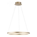 Paul Neuhaus 2382-60 - Candeeiro suspenso LED com regulação TITUS LED/38,5W/230V
