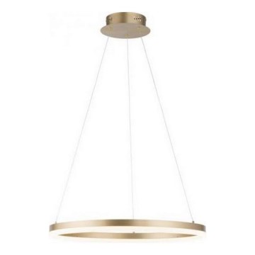 Paul Neuhaus 2382-60 - Candeeiro suspenso LED com regulação TITUS LED/38,5W/230V