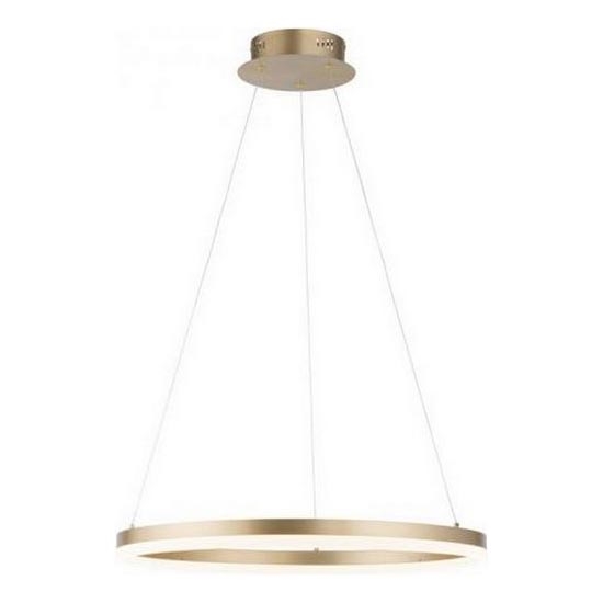 Paul Neuhaus 2382-60 - Candeeiro suspenso LED com regulação TITUS LED/38,5W/230V