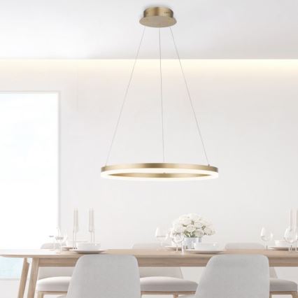 Paul Neuhaus 2382-60 - Candeeiro suspenso LED com regulação TITUS LED/38,5W/230V