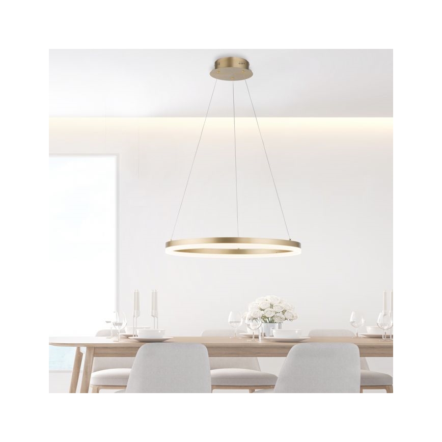 Paul Neuhaus 2382-60 - Candeeiro suspenso LED com regulação TITUS LED/38,5W/230V
