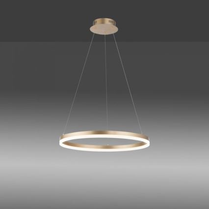 Paul Neuhaus 2382-60 - Candeeiro suspenso LED com regulação TITUS LED/38,5W/230V