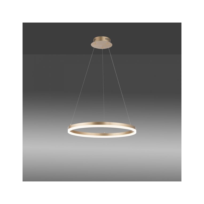 Paul Neuhaus 2382-60 - Candeeiro suspenso LED com regulação TITUS LED/38,5W/230V