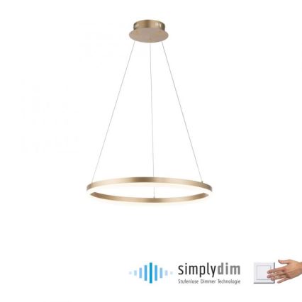 Paul Neuhaus 2382-60 - Candeeiro suspenso LED com regulação TITUS LED/38,5W/230V