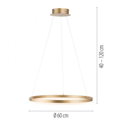 Paul Neuhaus 2382-60 - Candeeiro suspenso LED com regulação TITUS LED/38,5W/230V