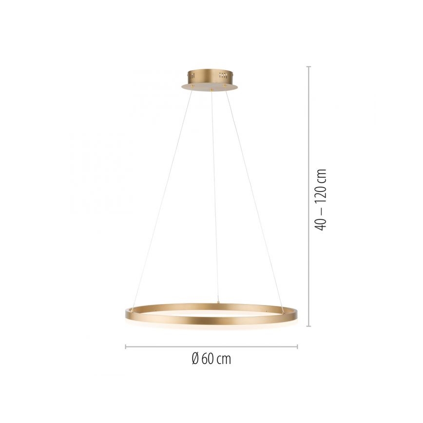 Paul Neuhaus 2382-60 - Candeeiro suspenso LED com regulação TITUS LED/38,5W/230V
