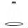 Paul Neuhaus 2383-13 - Candelabro suspenso LED com regulação TITUS LED/50W/230V