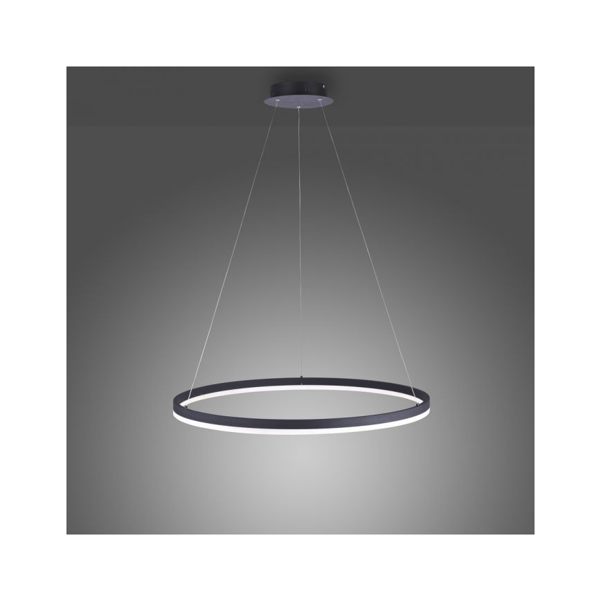 Paul Neuhaus 2383-13 - Candelabro suspenso LED com regulação TITUS LED/50W/230V