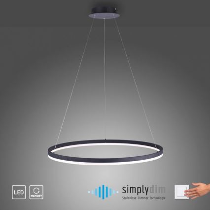 Paul Neuhaus 2383-13 - Candelabro suspenso LED com regulação TITUS LED/50W/230V