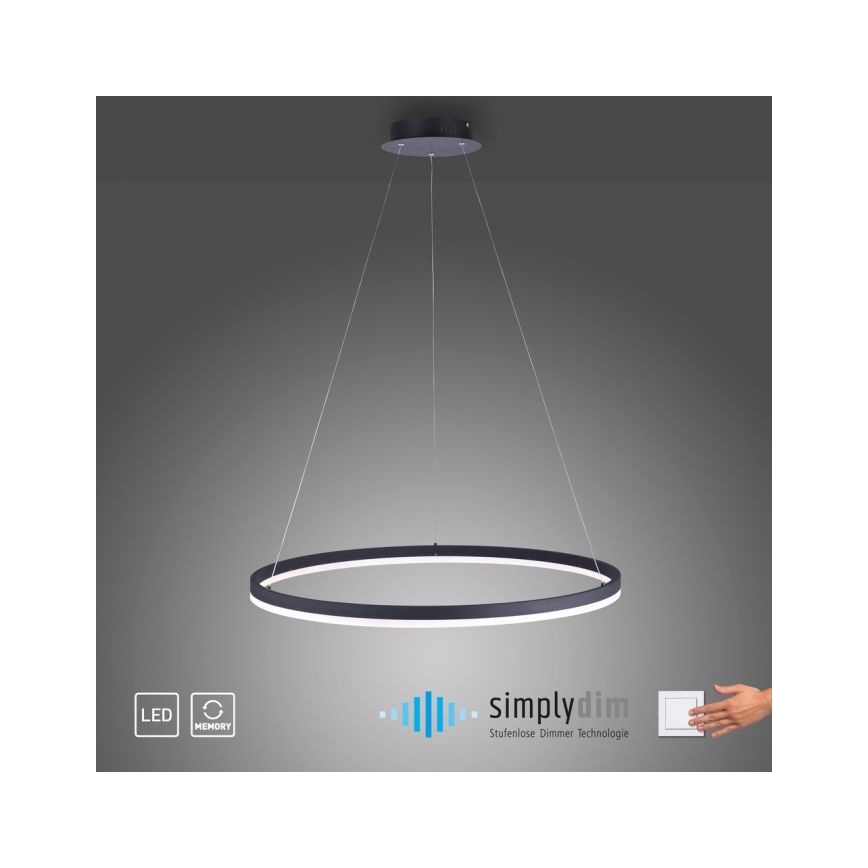 Paul Neuhaus 2383-13 - Candelabro suspenso LED com regulação TITUS LED/50W/230V