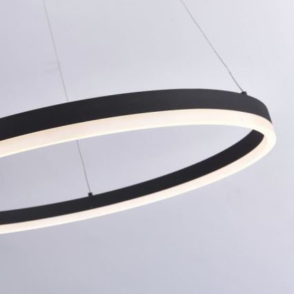 Paul Neuhaus 2383-13 - Candelabro suspenso LED com regulação TITUS LED/50W/230V