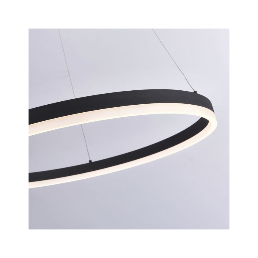 Paul Neuhaus 2383-13 - Candelabro suspenso LED com regulação TITUS LED/50W/230V
