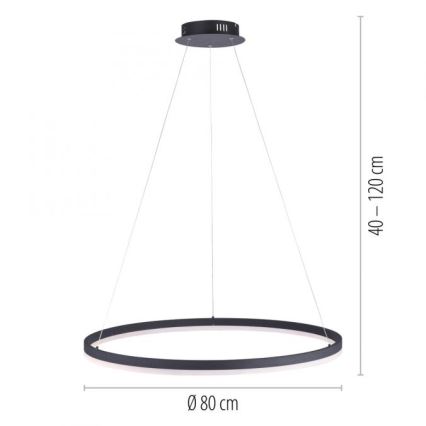 Paul Neuhaus 2383-13 - Candelabro suspenso LED com regulação TITUS LED/50W/230V