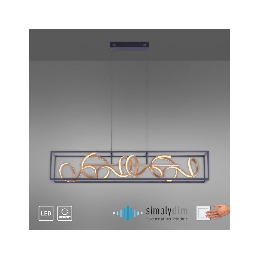 Paul Neuhaus 2416-18 - Candelabro num fio fosco LED SELINA 4xLED/10,2W/230V